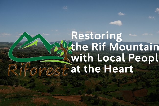 riforest