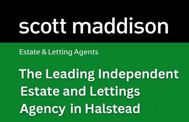 scott maddison halstead