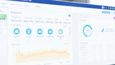 How Shopify Plus Supports High-Volume E-Commerce Stores
