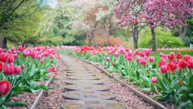 6 Stylish Stone Features to Enhance Your Garden2