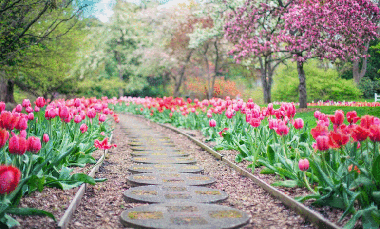 6 Stylish Stone Features to Enhance Your Garden2