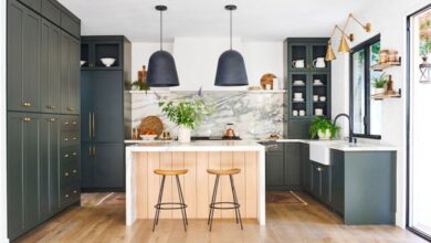 Kitchen Hygiene
