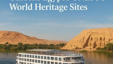Nile Cruise