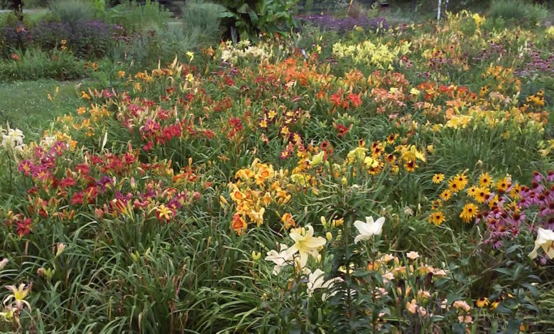 Planting