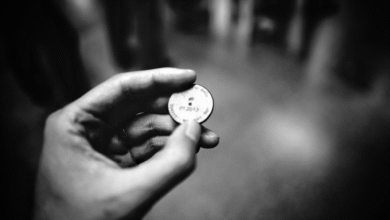 Understanding the Significance of AA Coins in Recovery