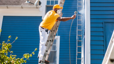 Painter