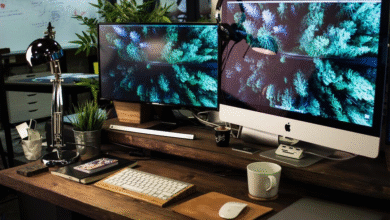 Understanding the Impact of Video Format Choice on Digital Media