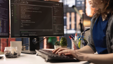 Software Development Company vs. Freelancers: Which Path Is Right for You?