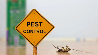 Pest