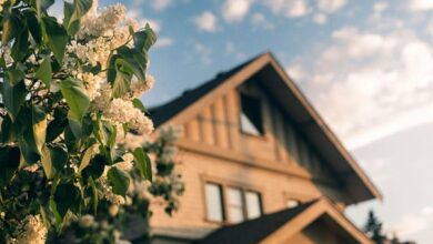 First-Time Property Investor