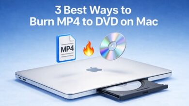 3 Best Ways to Burn MP4 to DVD on Mac