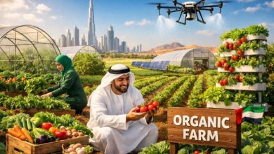Organic Farming in UAE and the Push for Smarter Local Supply