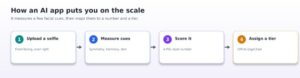 How an app turns a selfie into a tier.